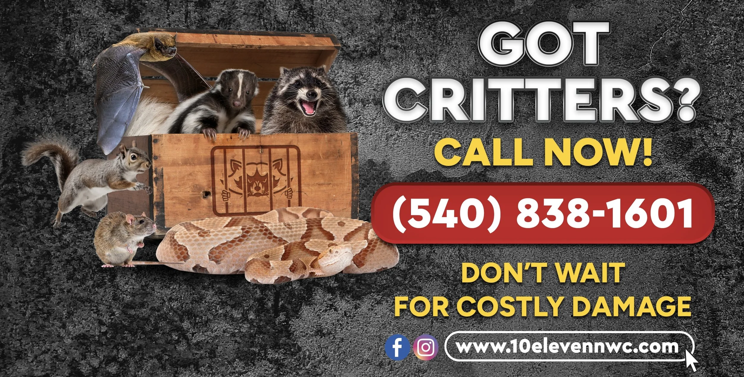 Protect Your Home From Wildlife Intruders: Choose 10-Eleven Nuisance Wildlife Control