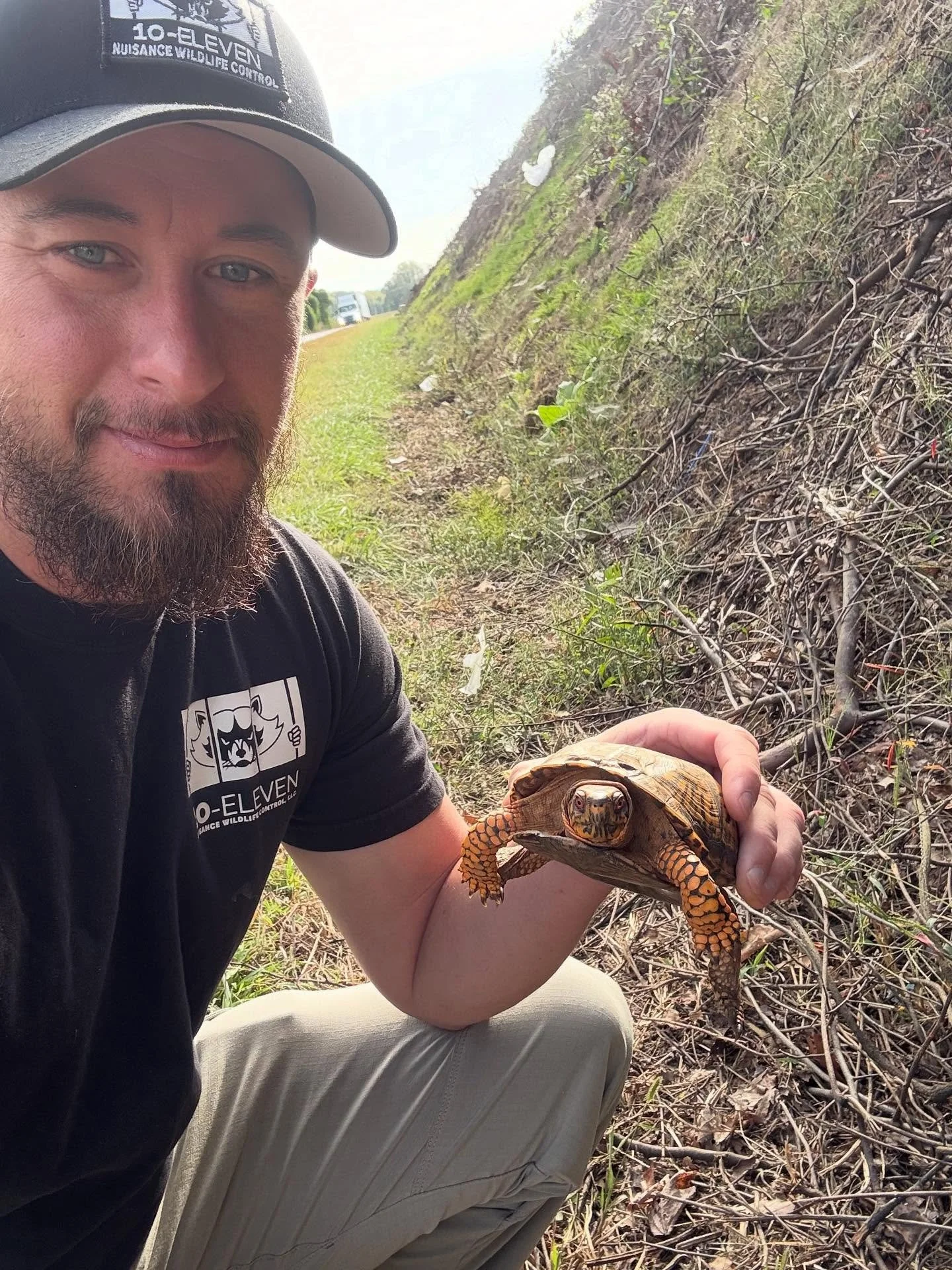 Right place, right time.

Sometimes the call of the wild happens right in front of you &mdash; even on the highway. JD spotted this beautiful Eastern Box Turtle trying to cross a busy road and had to lend a hand. 

Remember: brake for turtles when it