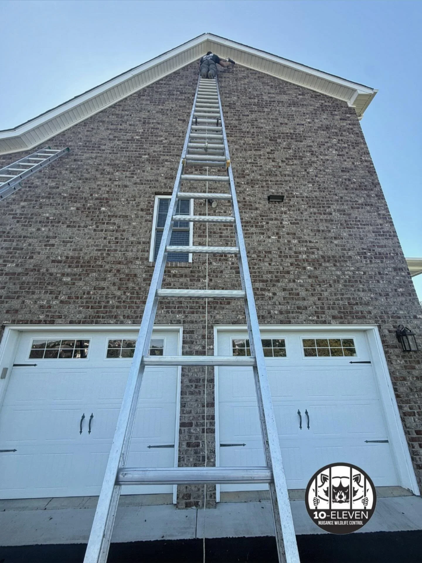 Up high and sealing tight. 

When it comes to bats, even the smallest gap along a roofline can become a doorway into your attic. Our crews put in the extra effort &mdash; and the ladder time &mdash; to make sure every potential entry point is sealed 