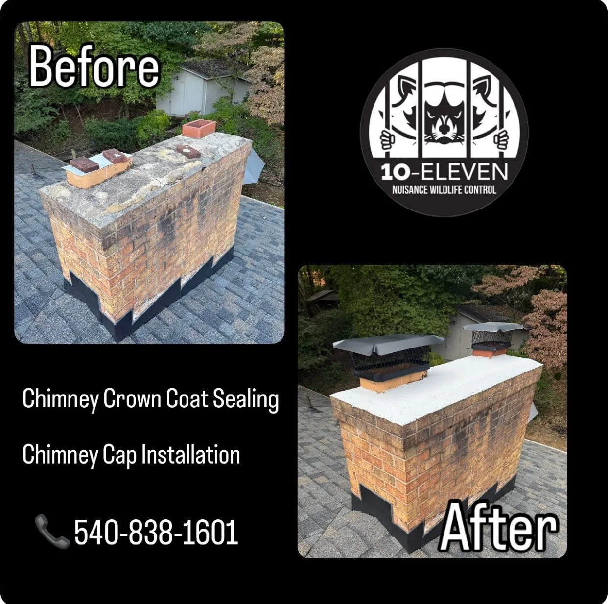 Protect your chimney — and your home.
Cracked crowns, damaged caps, and open flues can lead to costly water damage and even animal intrusion.
At 10-Eleven Nuisance Wildlife Control, we provide:
• Professional chimney crown seal coating
&b