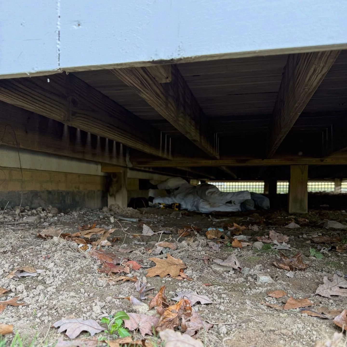 Doing what others won&rsquo;t.

When it comes to protecting homes from wildlife, we don&rsquo;t take shortcuts. Our team goes the extra mile to make sure exclusion work is done right &mdash; sealed tight, reinforced, and built to last.

We&rsquo;re n