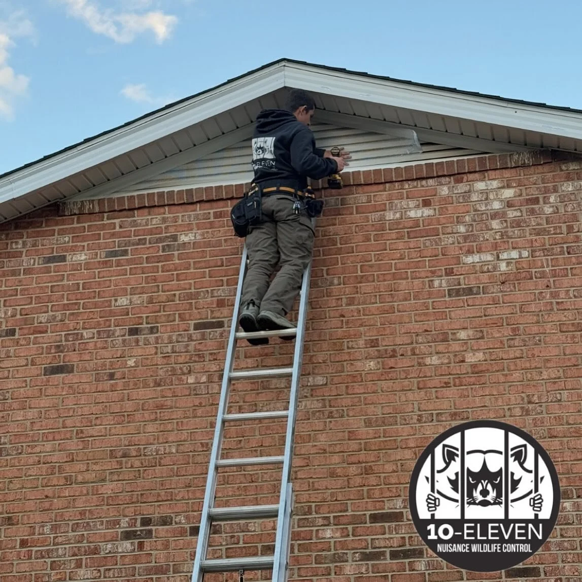Let&rsquo;s Talk Gable Vents

Gable vents are one of the most common ways wildlife slips into your attic &mdash; especially bats. They get behind the louvers, roost on the interior screen, and over time their urine, feces, and wear-and-tear break tha