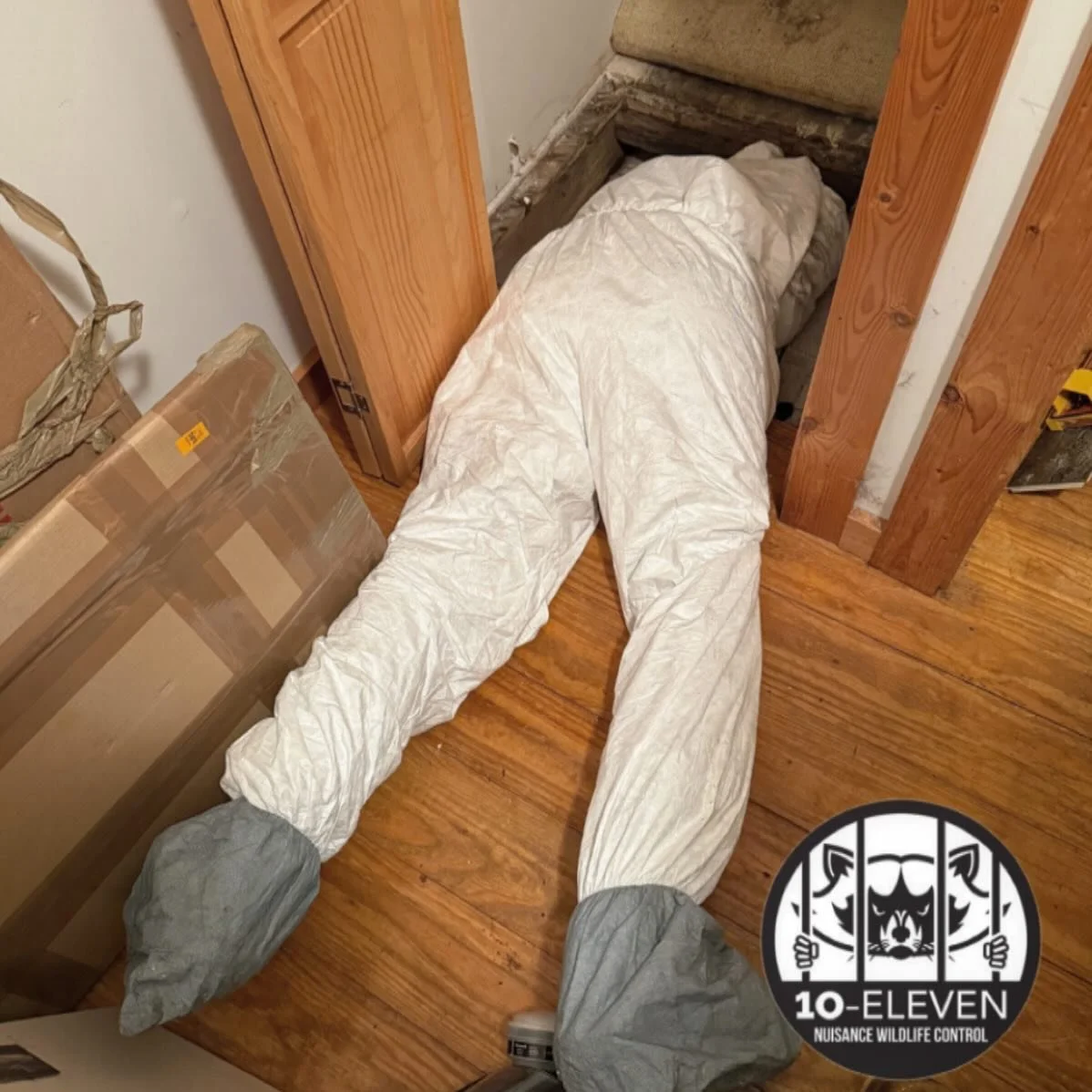 Doing what others won&rsquo;t.

When it comes to protecting homes from wildlife, we don&rsquo;t take shortcuts. Our team goes the extra mile to make sure exclusion work is done right &mdash; sealed tight, reinforced, and built to last.

We&rsquo;re n