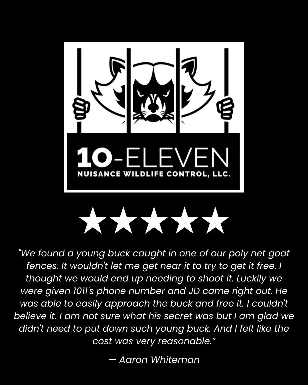 ⭐️⭐️⭐️⭐️⭐️🦌. Five Star Review!  Happy customer and an even happier deer!