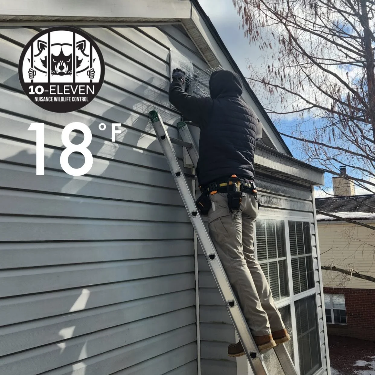 Cold weather doesn&rsquo;t stop the critters &mdash; and it doesn&rsquo;t stop us either.

Even in the teens, we&rsquo;re hard at work evicting unwanted wildlife and protecting homes across Virginia.

If you&rsquo;re hearing scratching, thumping, or 