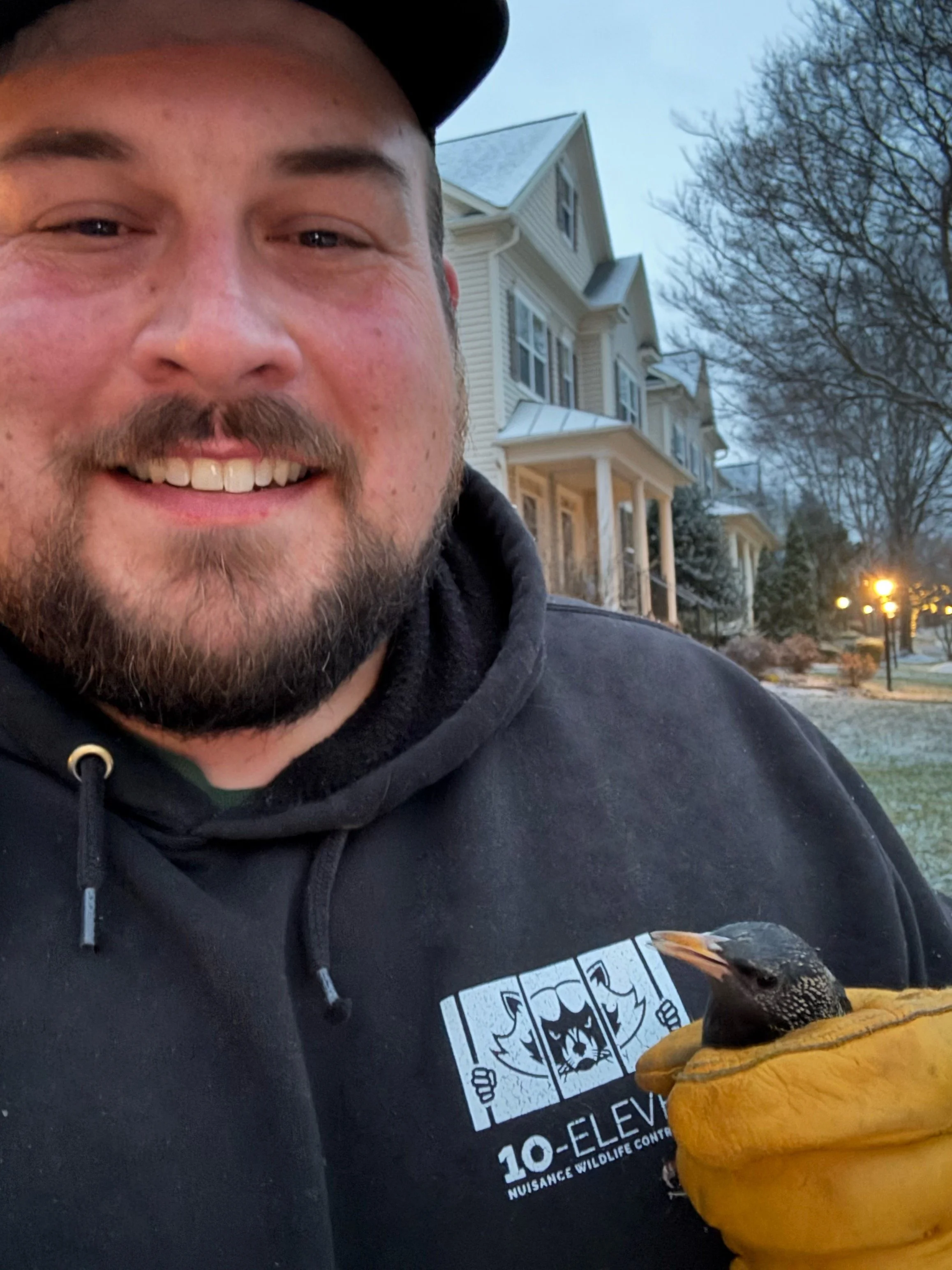 Gainesville, VA Wildlife Control: Preventing Wildlife Damage Before It Starts