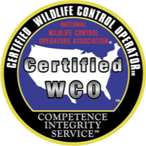 certified+wco+logo.png