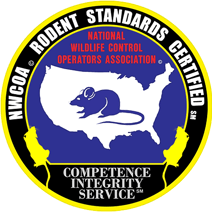 rodent+standards+logo.png