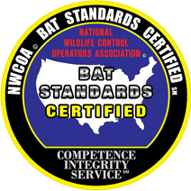 bat+standards+logo.png