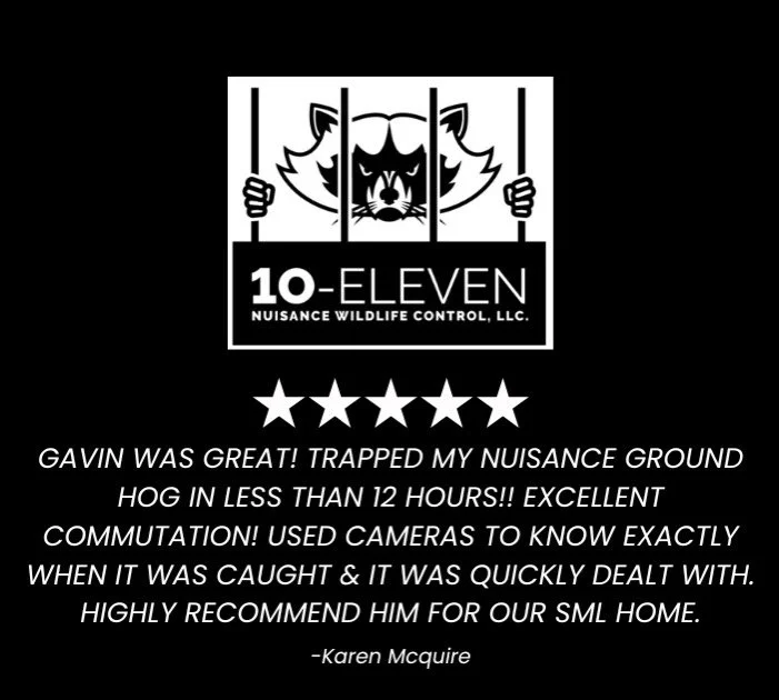 🚨 Five ⭐️ Review Alert 🚨

Great Job Gavin!

Thank you to our incredible customers for your ongoing support and fantastic reviews! Your feedback fuels our dedication to providing top-notch wildlife control services. We truly appreciate your trust in