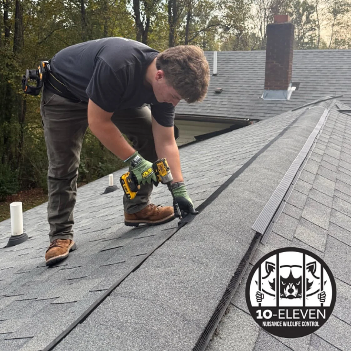 🏠 Your roof&rsquo;s ridge vent could be an open door for wildlife! 🦇🐿️

Ridge vents are designed to allow proper attic ventilation, but many are also vulnerable to wildlife entry. Over time, certain ridge vent materials can warp, deteriorate, or b