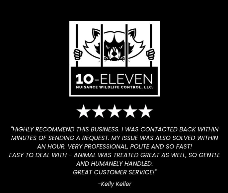 🚨 Five ⭐️ Review Alert 🚨

Thank you to our incredible customers for your ongoing support and fantastic reviews! Your feedback fuels our dedication to providing top-notch wildlife control services. We truly appreciate your trust in us!

#CustomerRev