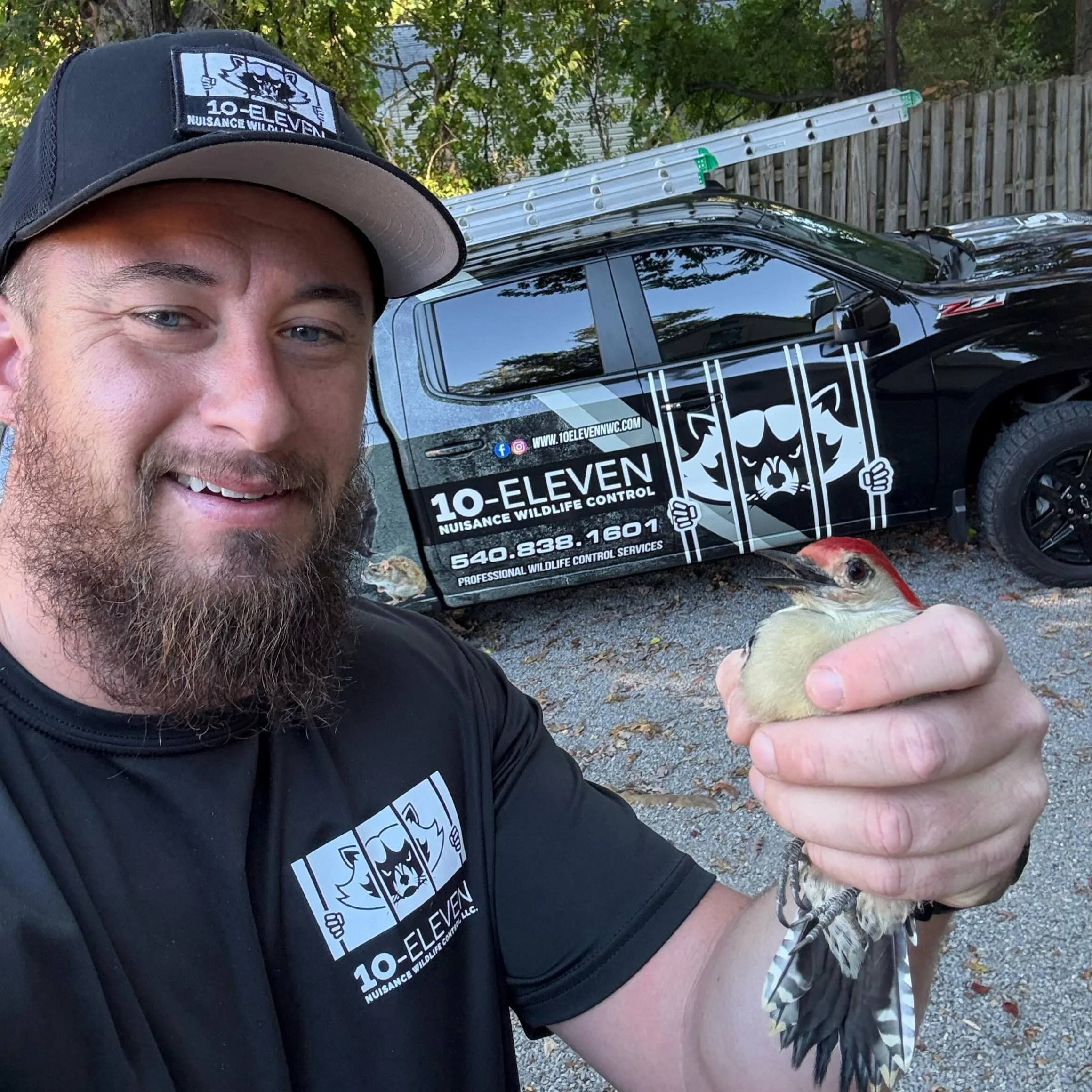 🔎🐦 Mystery Solved.

We recently responded to an emergency call involving an unidentified animal trapped inside a wall.

After some investigating, we were able to isolate the area where the animal was located and carefully opened the wall and insula