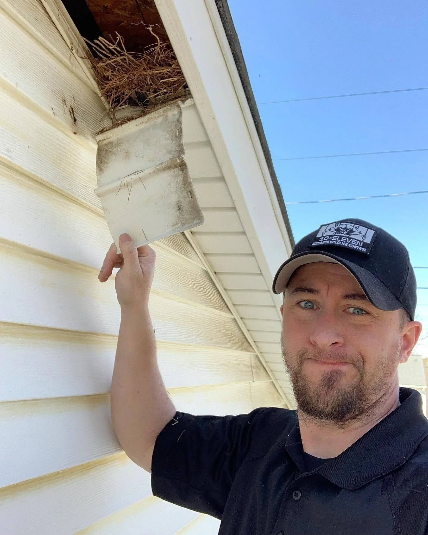Great Falls, VA Wildlife Control: Why Animals Are Getting Into Your Home