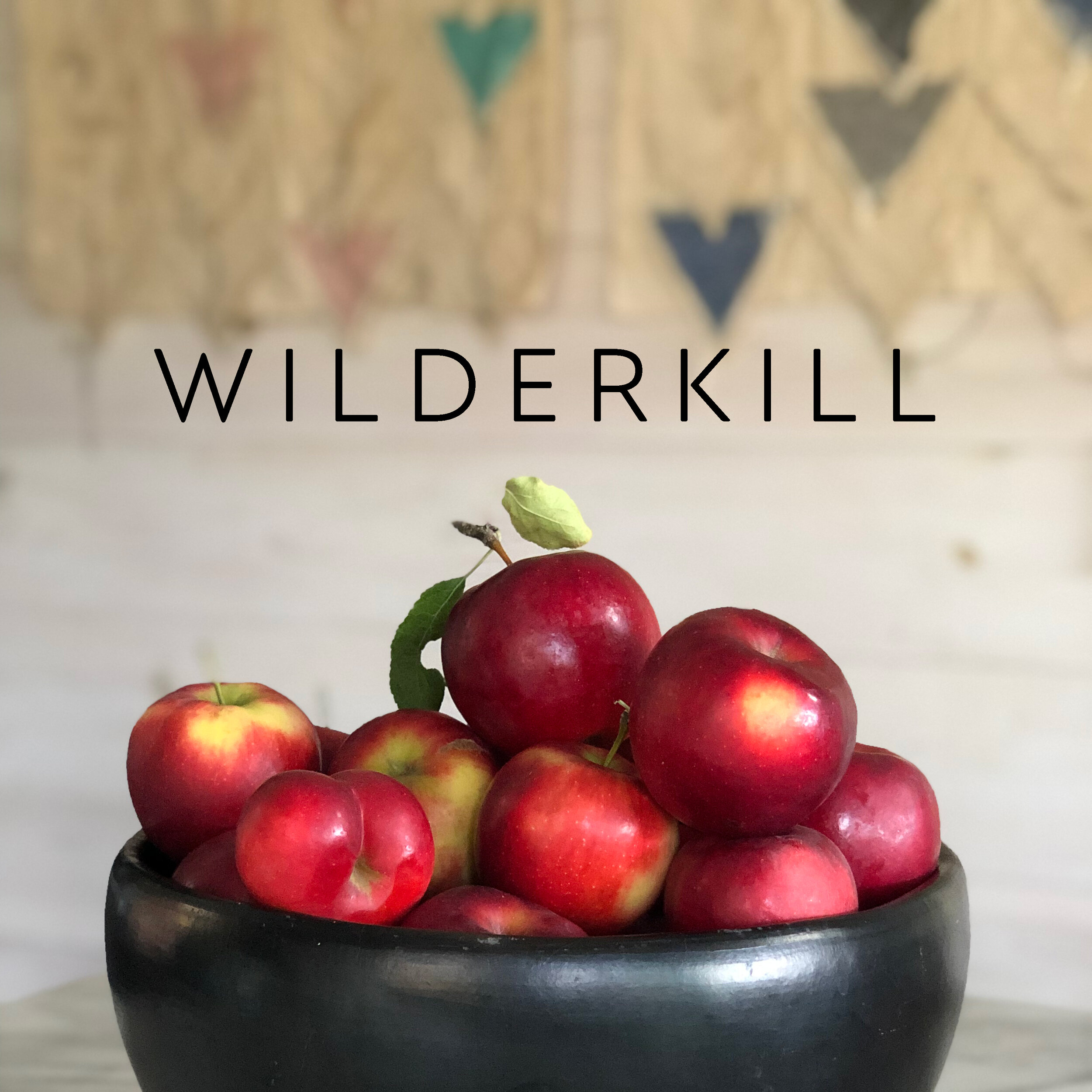 WILDERKILL RETREAT