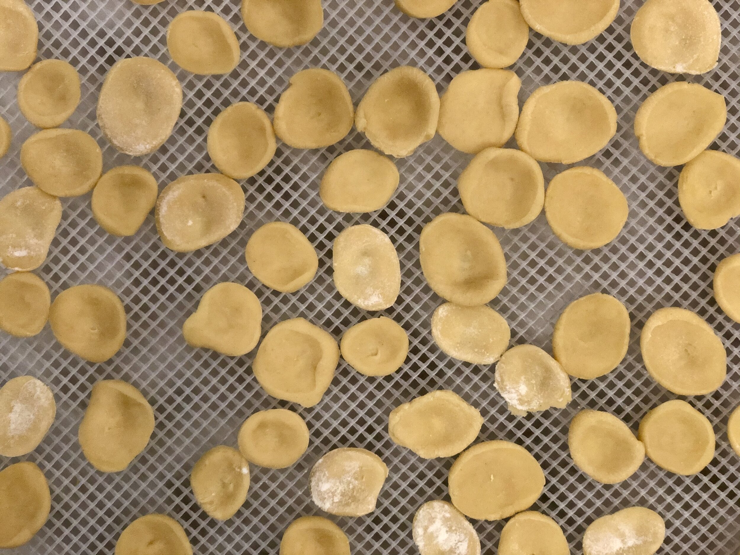 Homemade Cavatelli Pasta - Inside The Rustic Kitchen