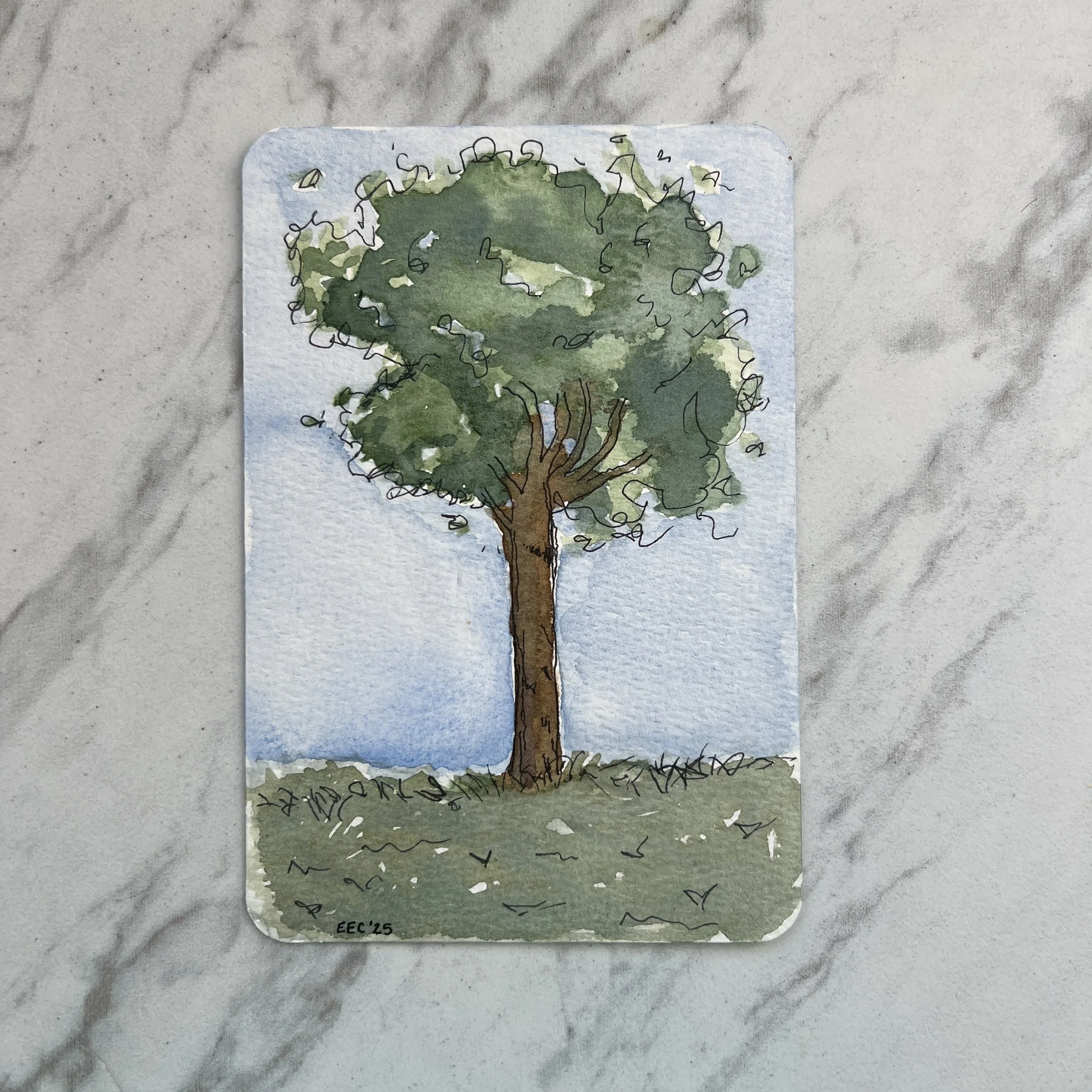 Watercolor_Tree.JPG