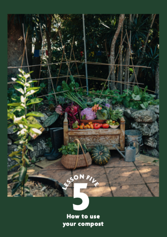 Screen Shot 2021-09-03 at 3.06.35 pm.png