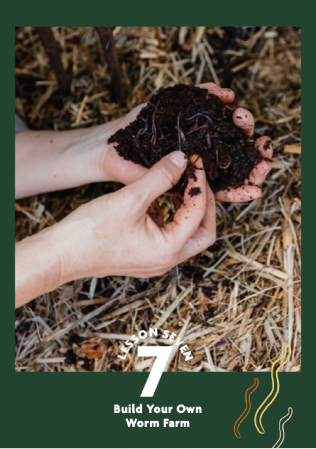 Screen Shot 2021-09-03 at 3.07.14 pm.png