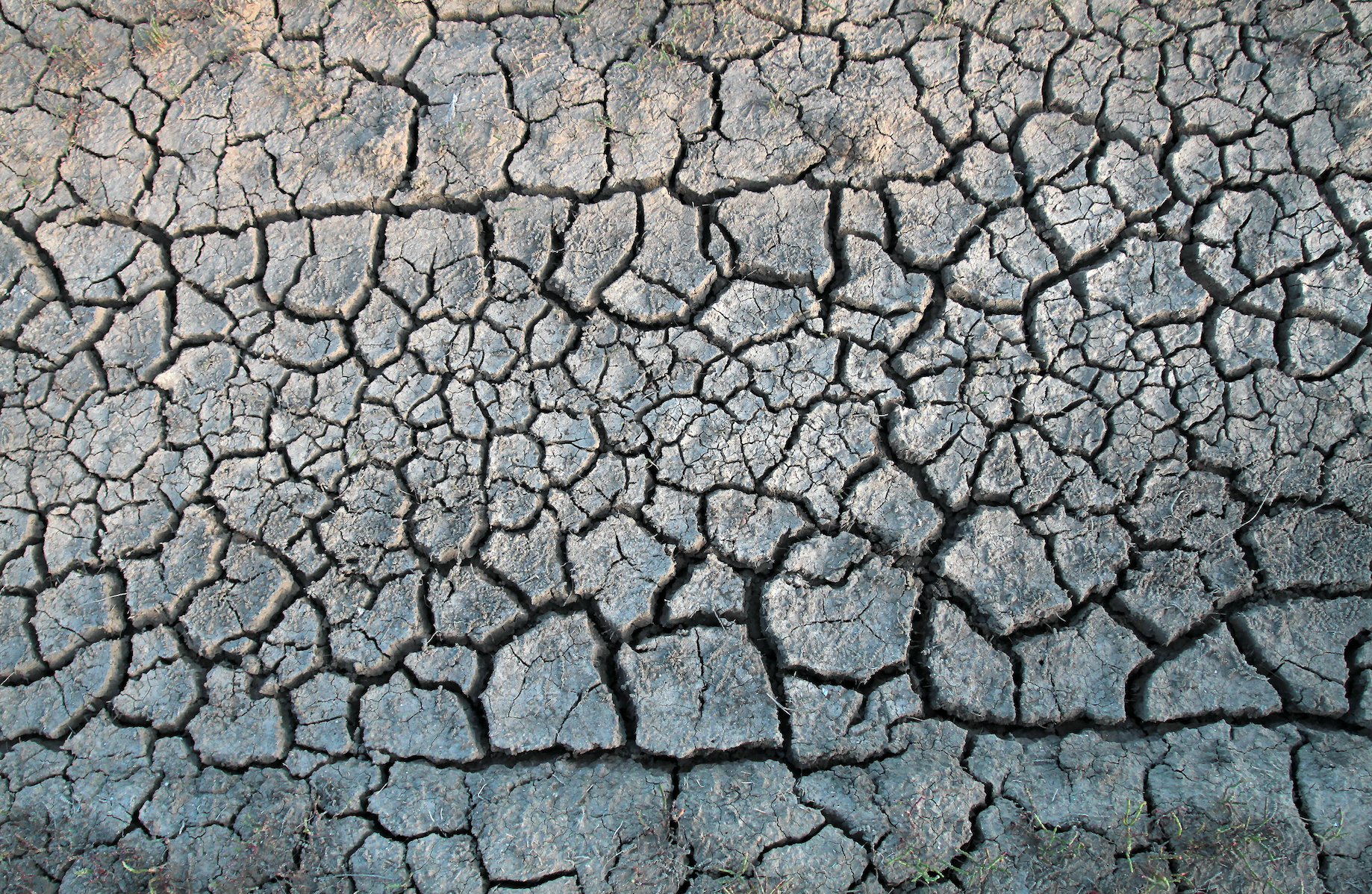 PLANET EARTH HAS A SKIN DISEASE