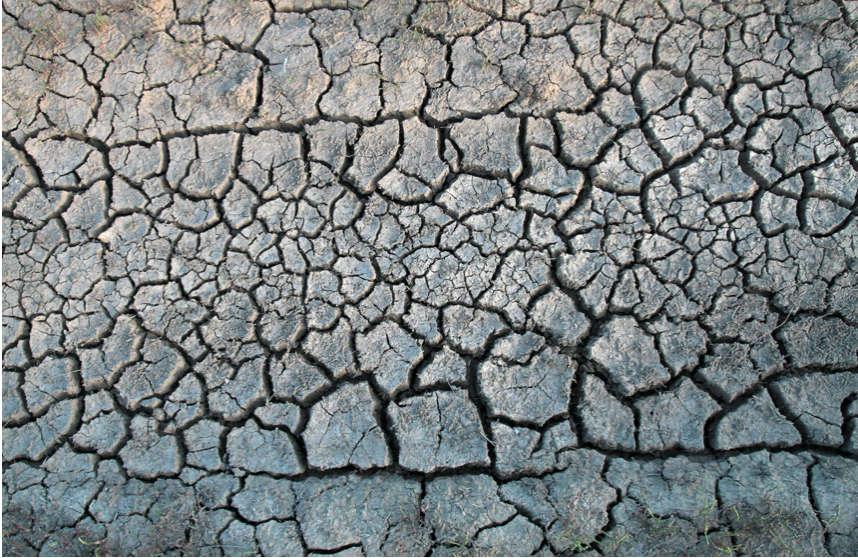 PLANET EARTH HAS A SKIN DISEASE!