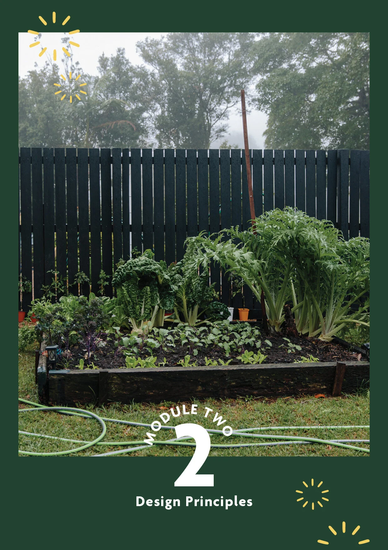 Soil-to-harvest-27112023.jpg