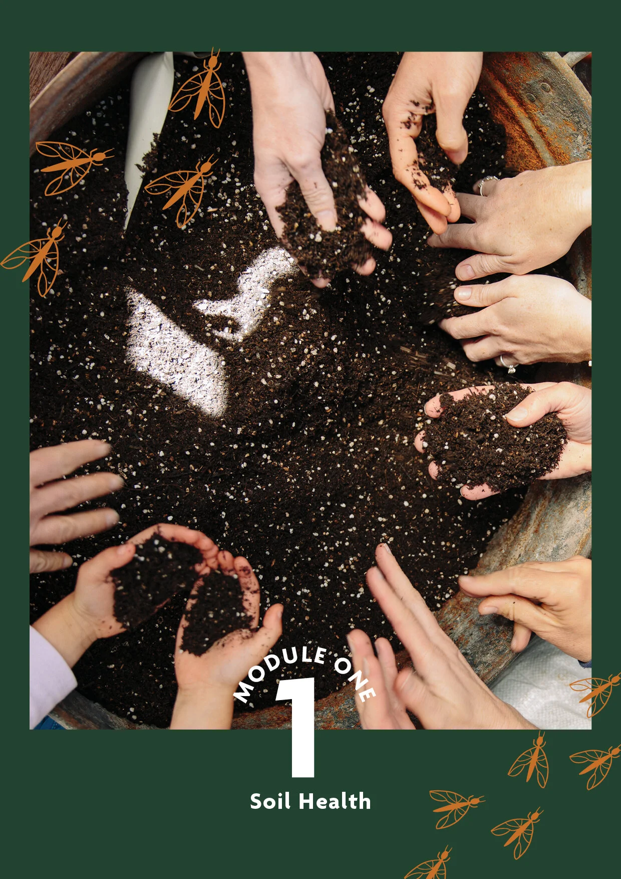 Soil-to-harvest-2711204.jpg