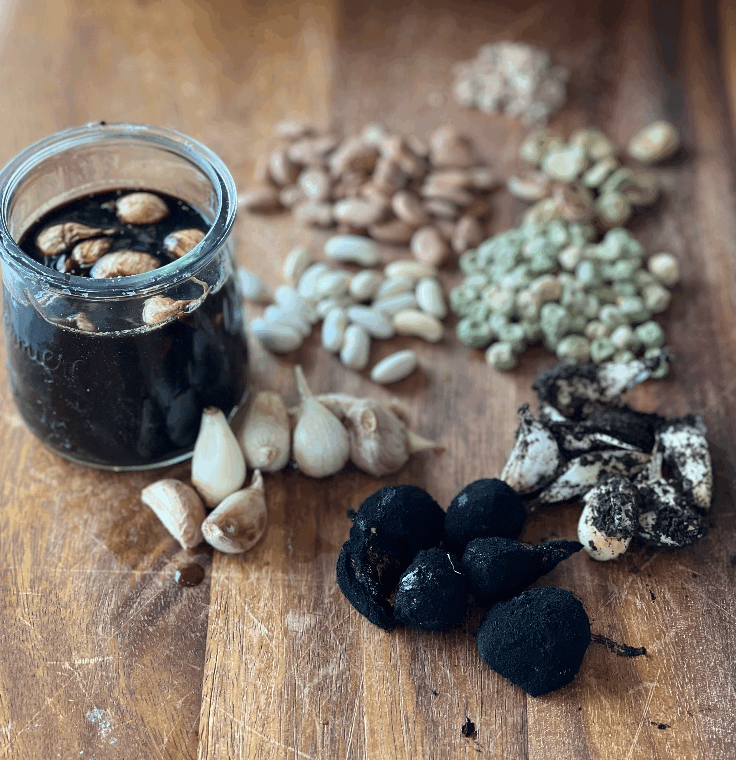 WHY SHOULD YOU INOCULATE YOUR SEEDS BEFORE PLANTING?