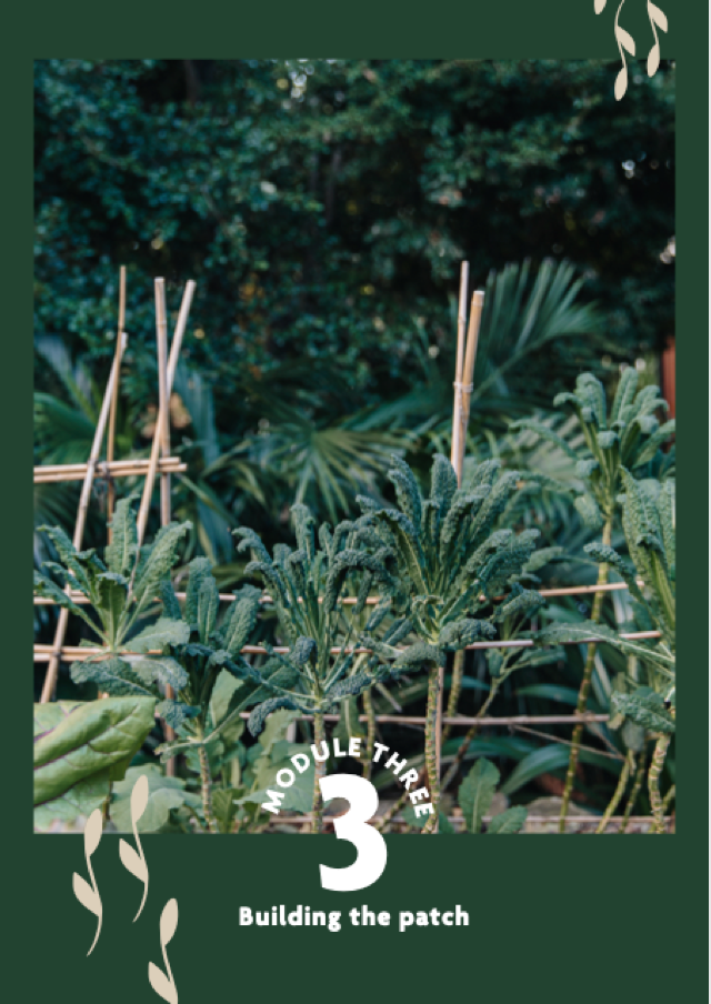 Screen Shot 2021-10-01 at 3.59.58 pm.png