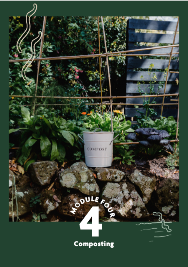 Screen Shot 2021-10-01 at 4.00.12 pm.png