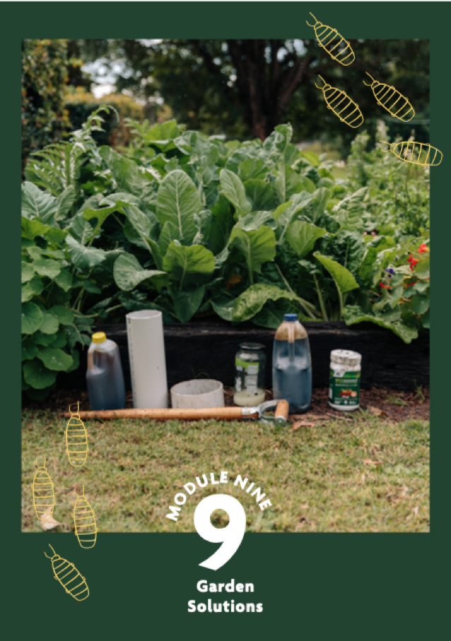 Screen Shot 2021-10-01 at 4.01.25 pm.png