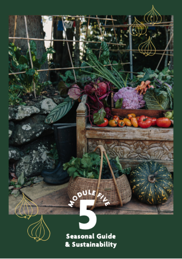 Screen Shot 2021-10-01 at 4.00.26 pm.png