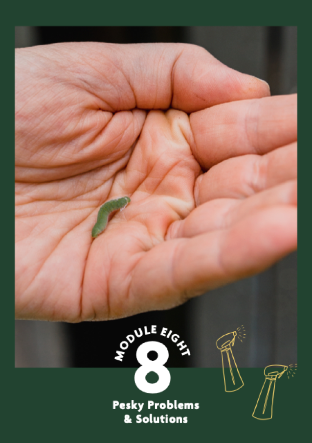 Screen Shot 2021-10-01 at 4.01.11 pm.png