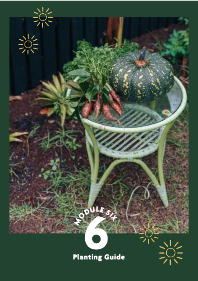 Screen Shot 2021-10-01 at 4.00.40 pm.png