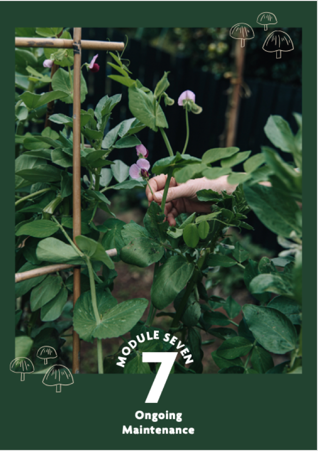 Screen Shot 2021-10-01 at 4.00.56 pm.png