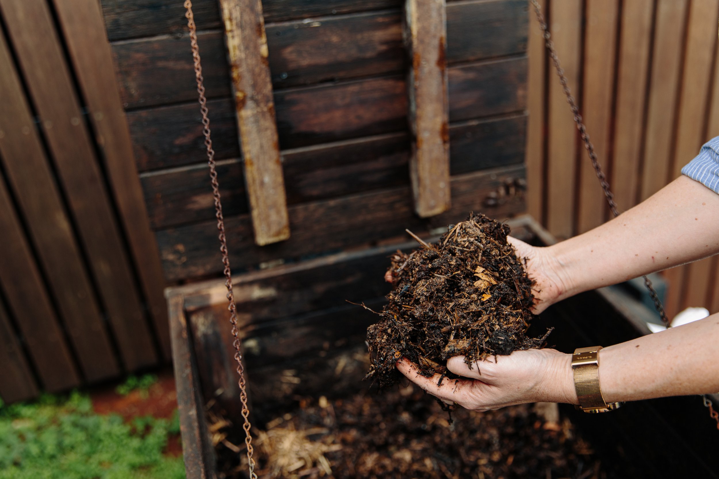Can Compost Go Bad? — Little Green Patch