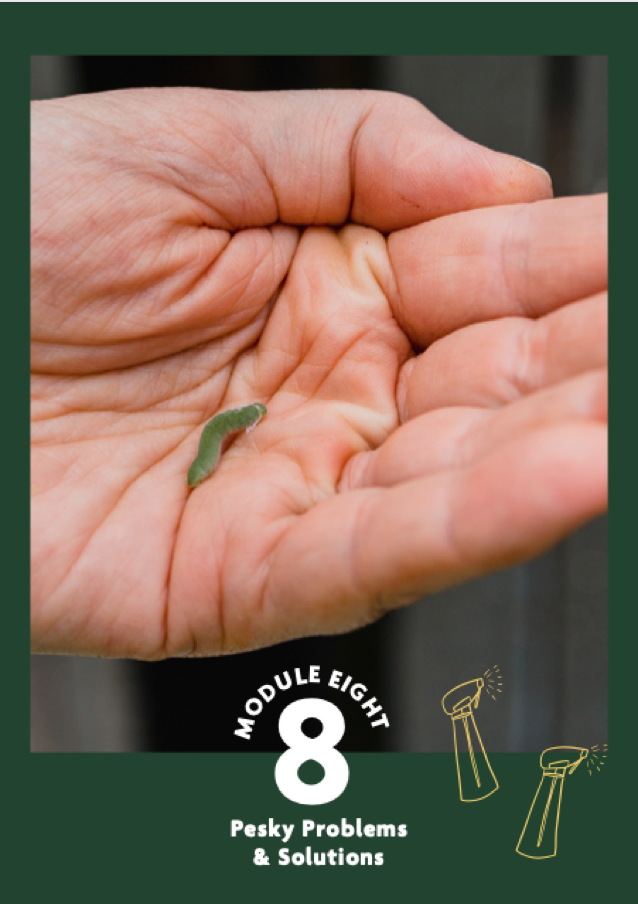 Screen Shot 2021-10-10 at 2.16.02 pm.png