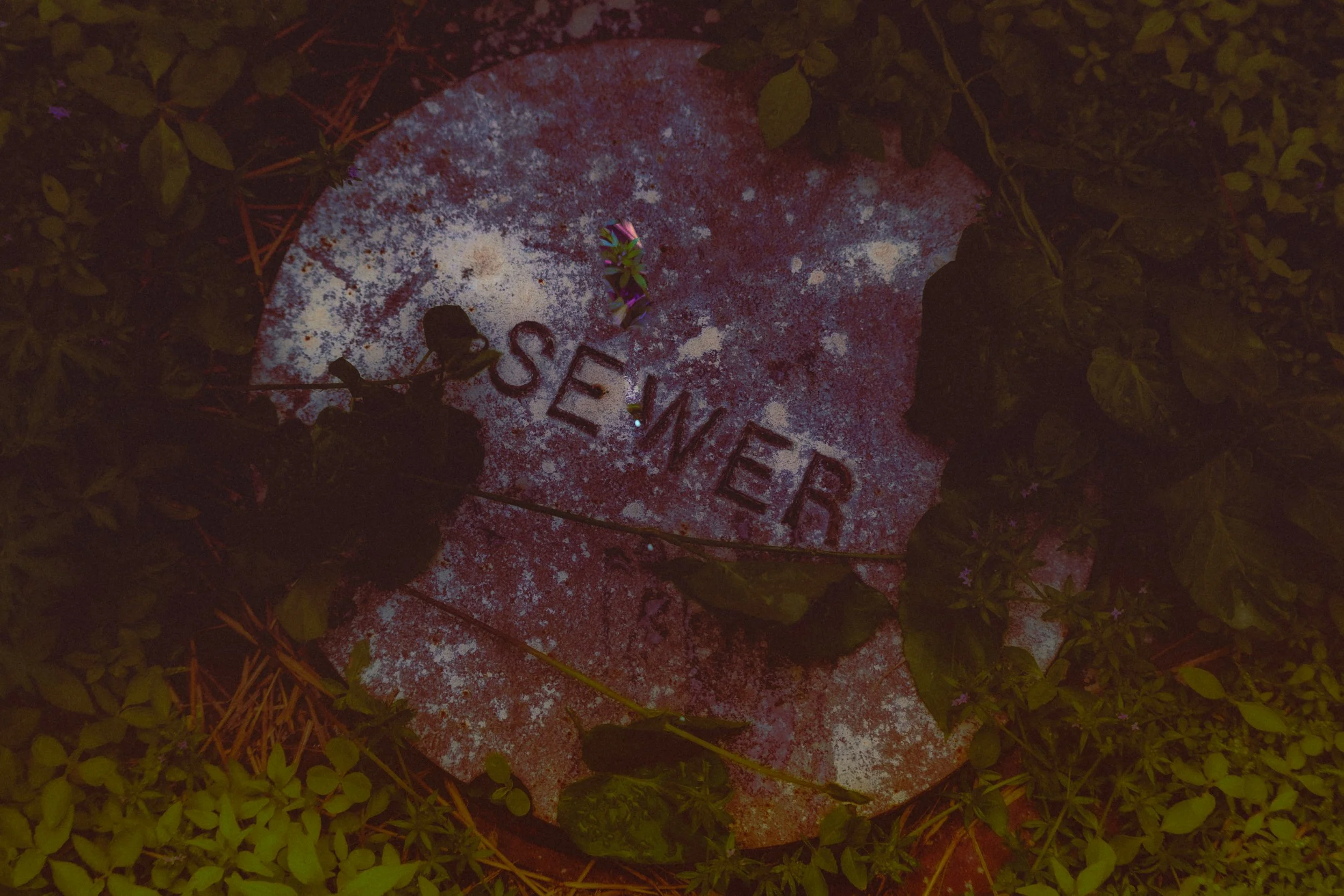 4.27.23 Selects_Full Res-13.jpg