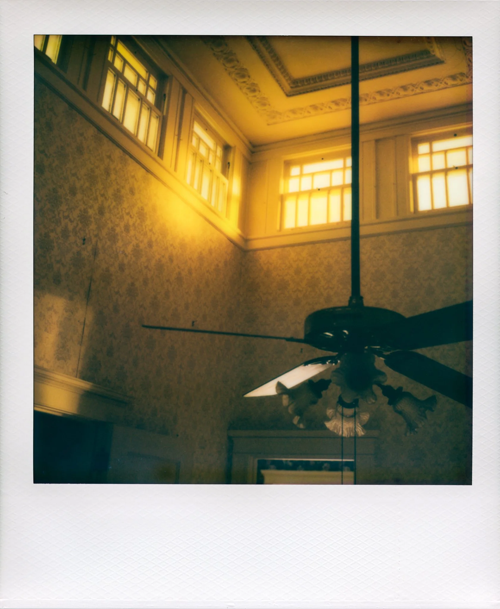 Culbertson_Web_Polaroid-3.jpg