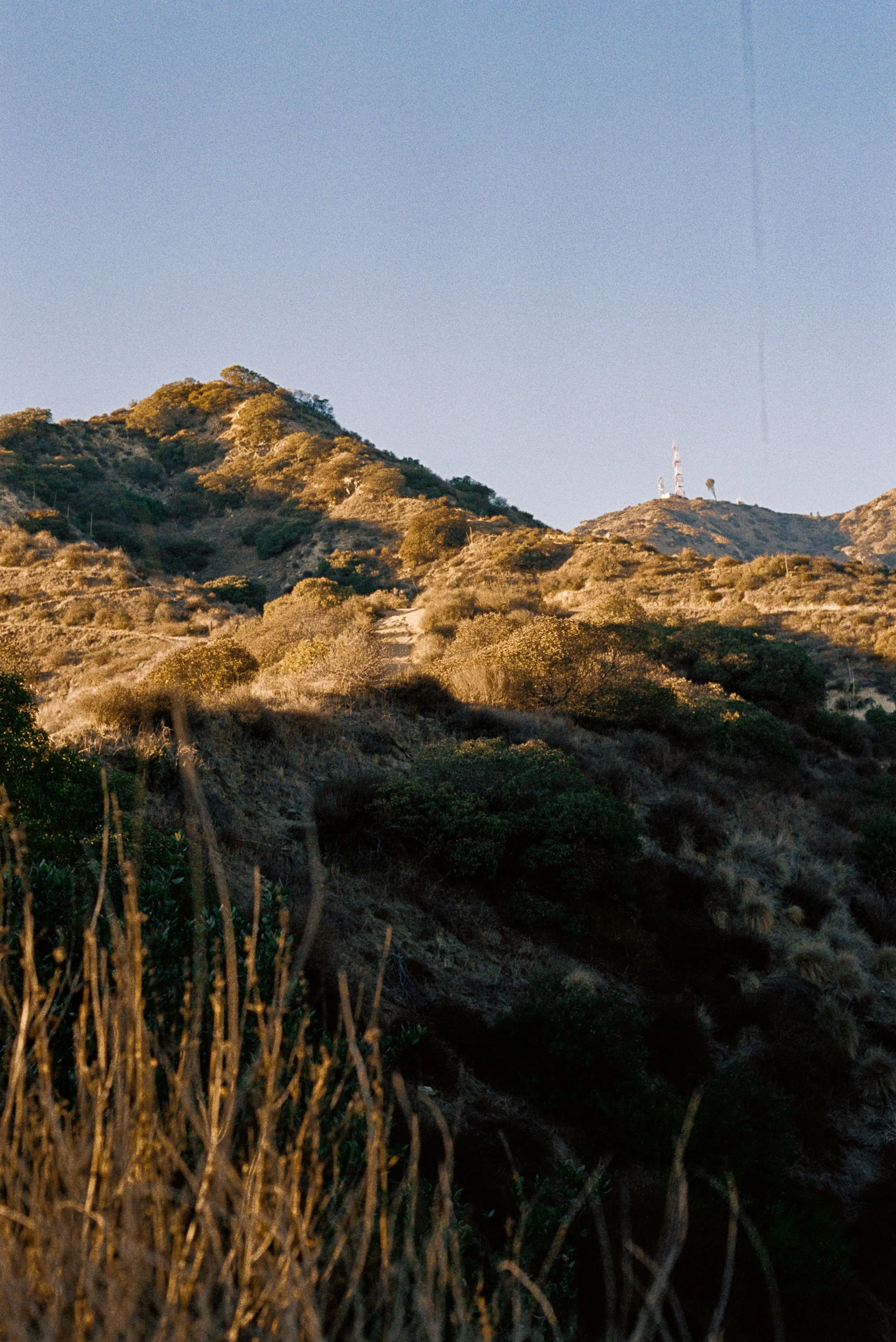 Shadows and Sunshine.jpg