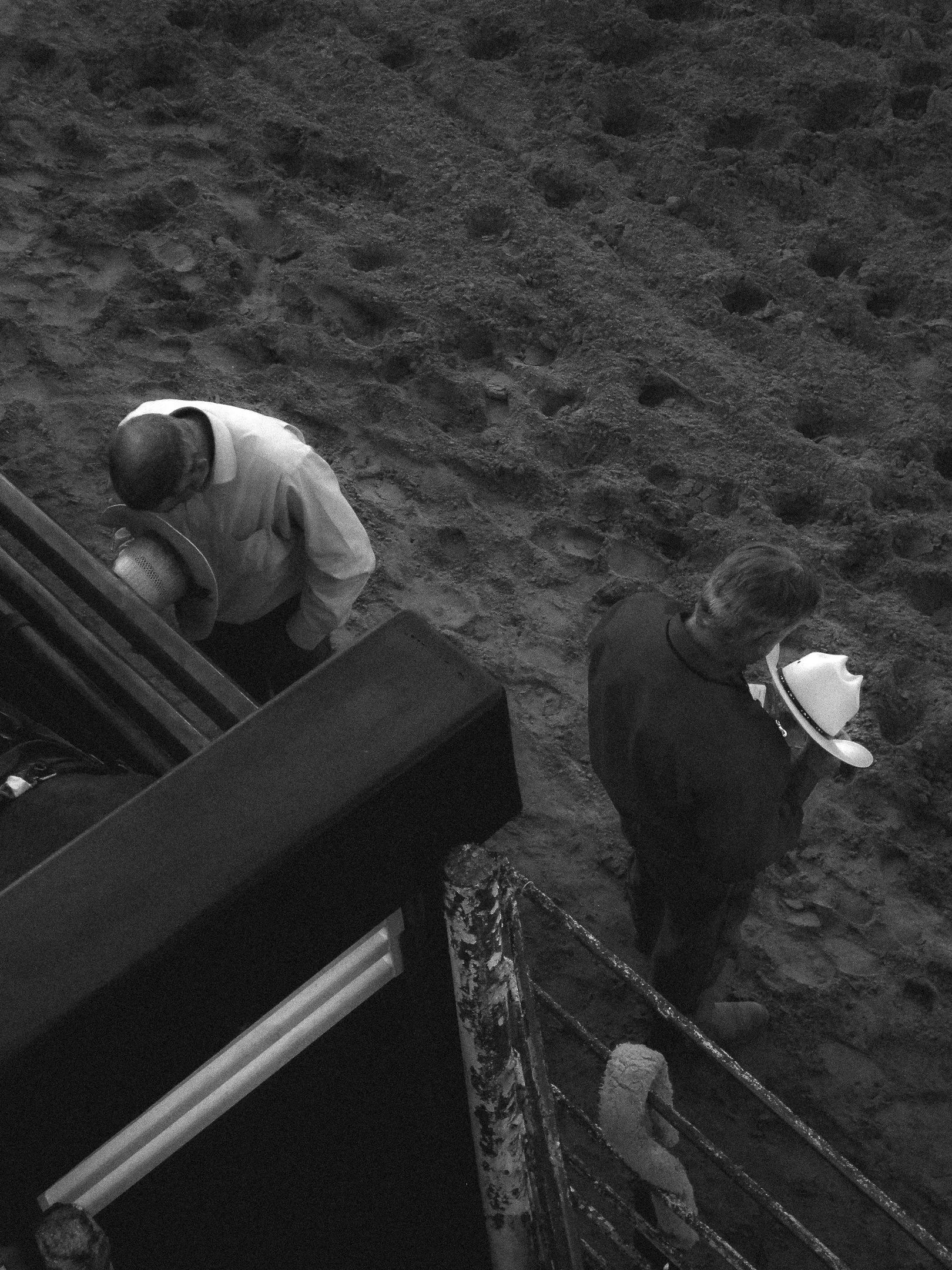 Rodeo-23.jpg
