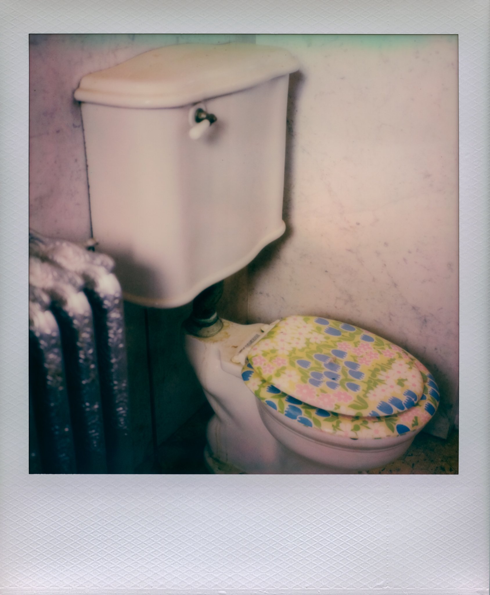 Scott Mansion_Polaroids_Web-2.jpg