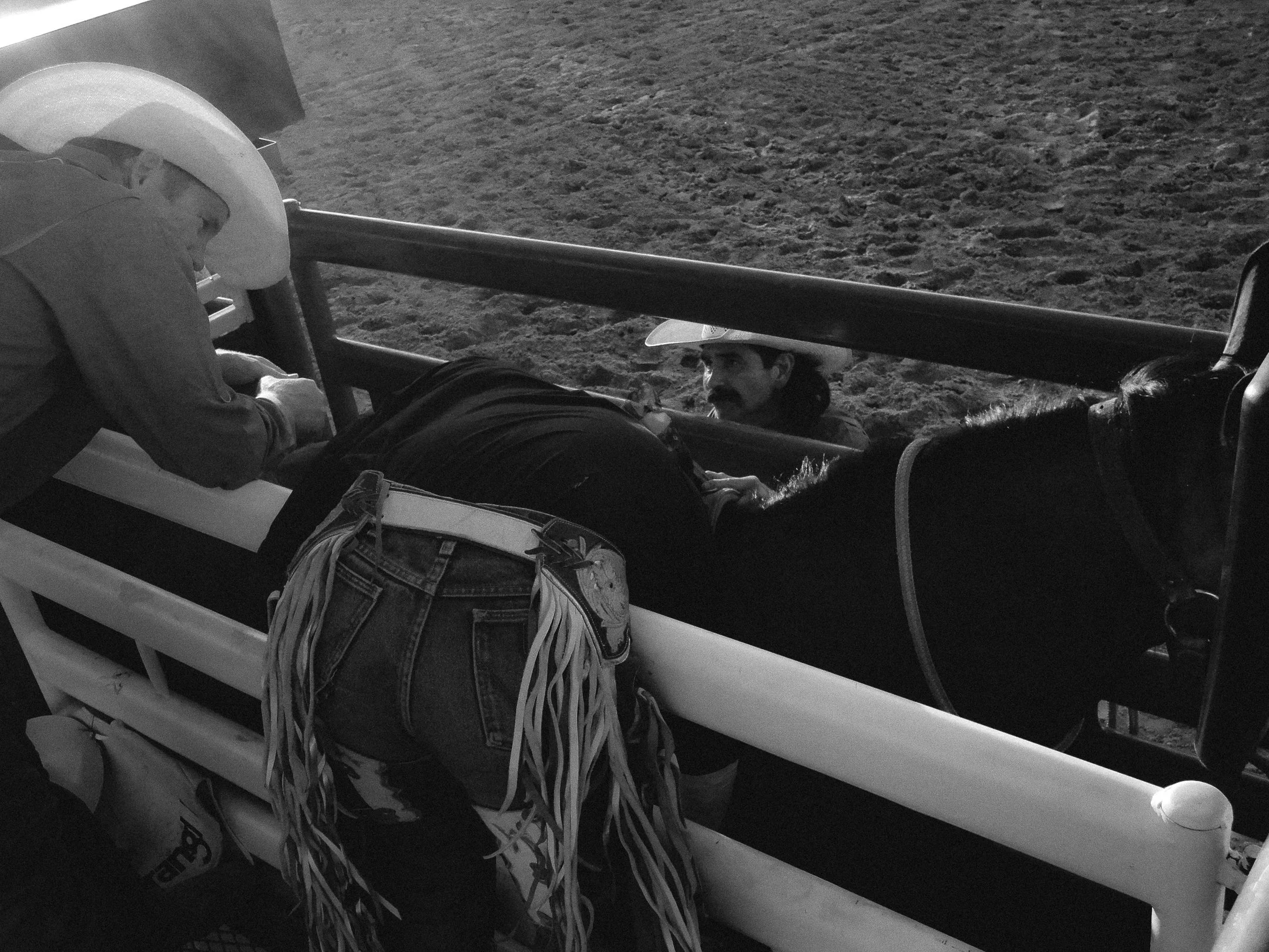 Rodeo-11.jpg