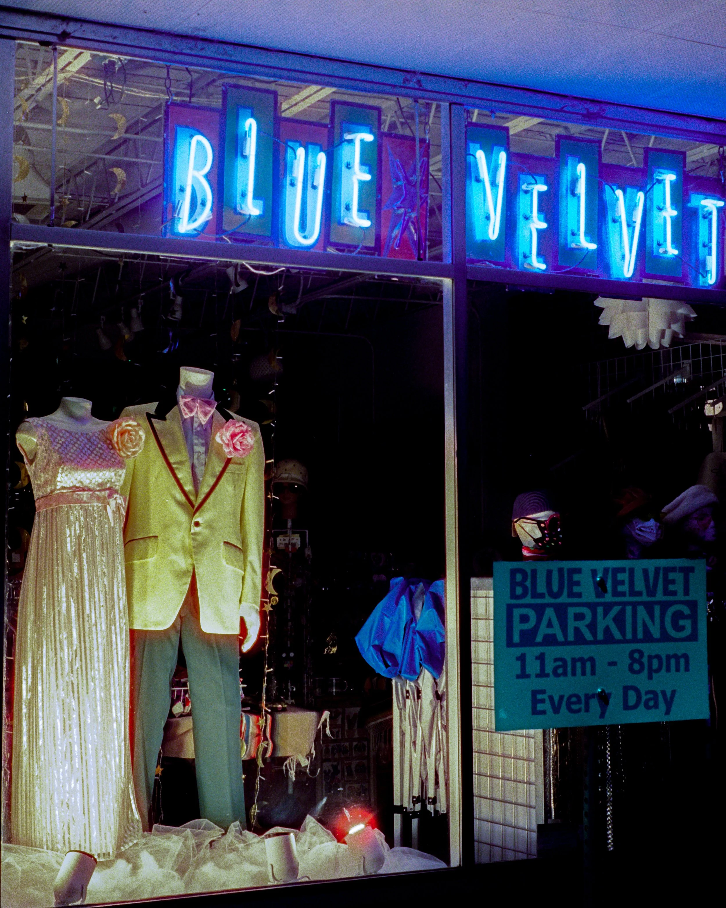 Blue Velvet.jpg