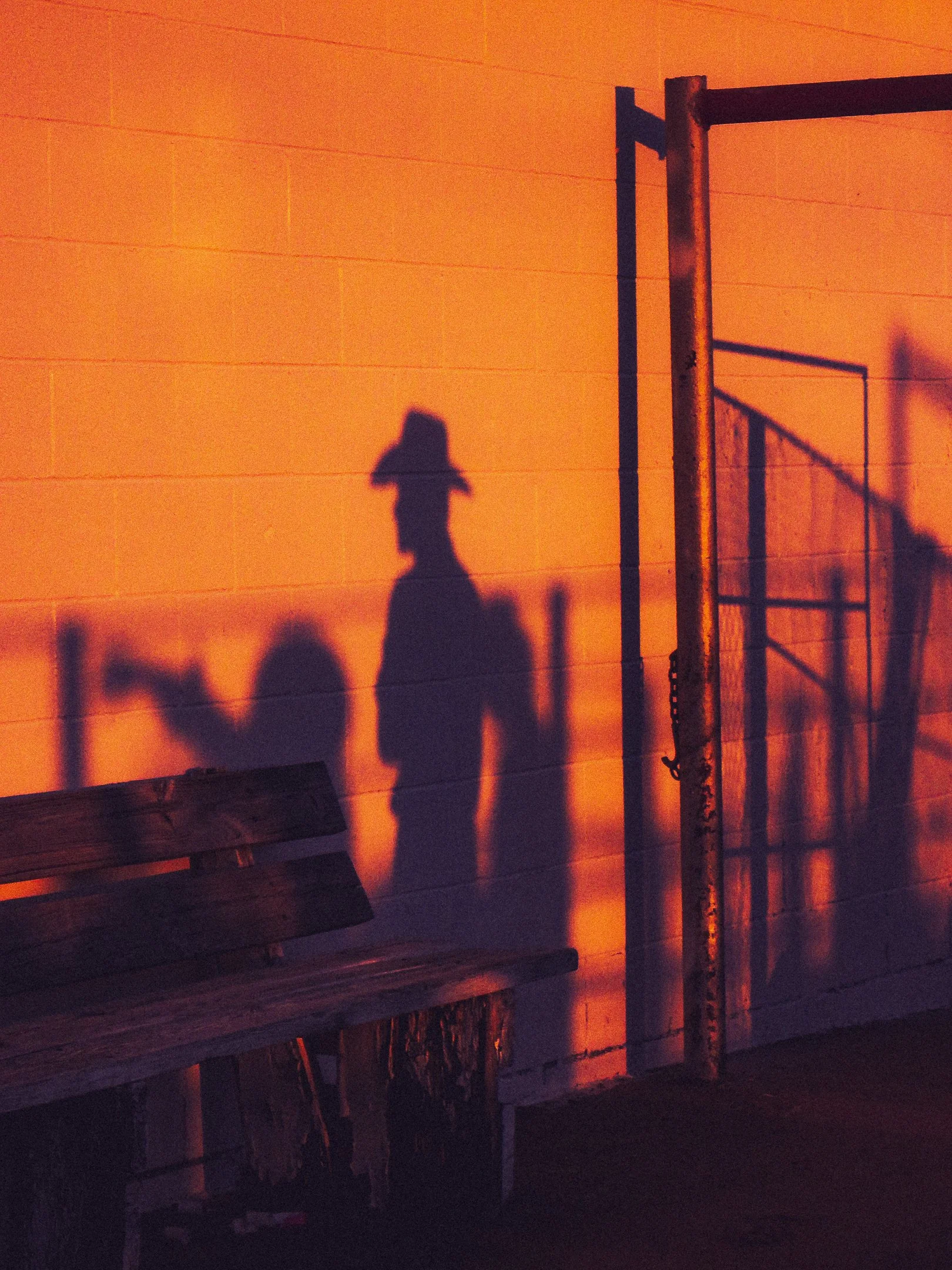 Rodeo-13.jpg