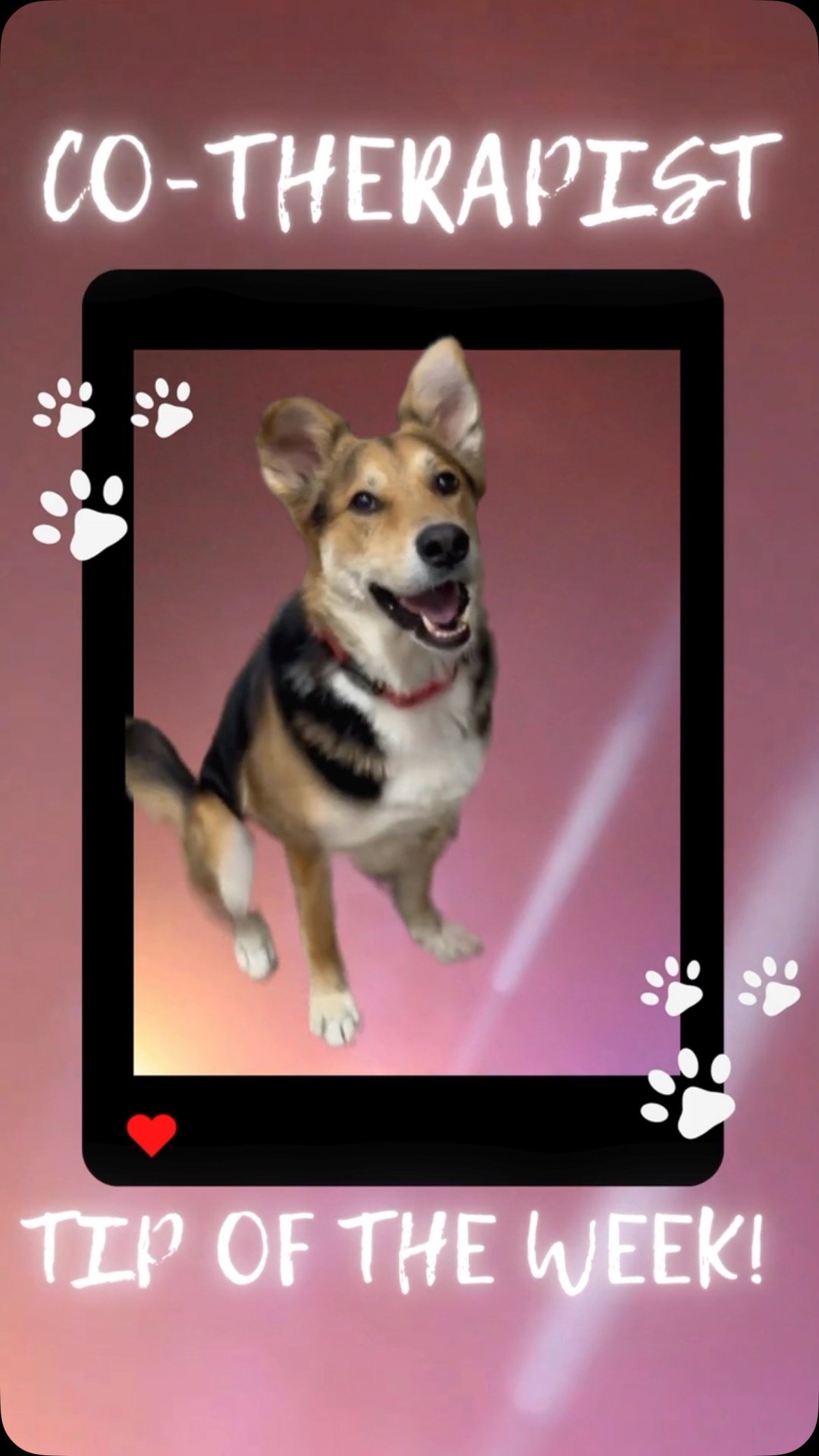 Mr. Loki’s Co-Therapist Tip:
Feeling stressed? Try singing! 🎶 Whether it’s a howl, hum, or belting your favorite song in the car, let it all out.
🎵 Singing can:
✨ Reduce stress
✨ Boost mood
✨ Help you relax
✨ Keep you mindful
✨ Make