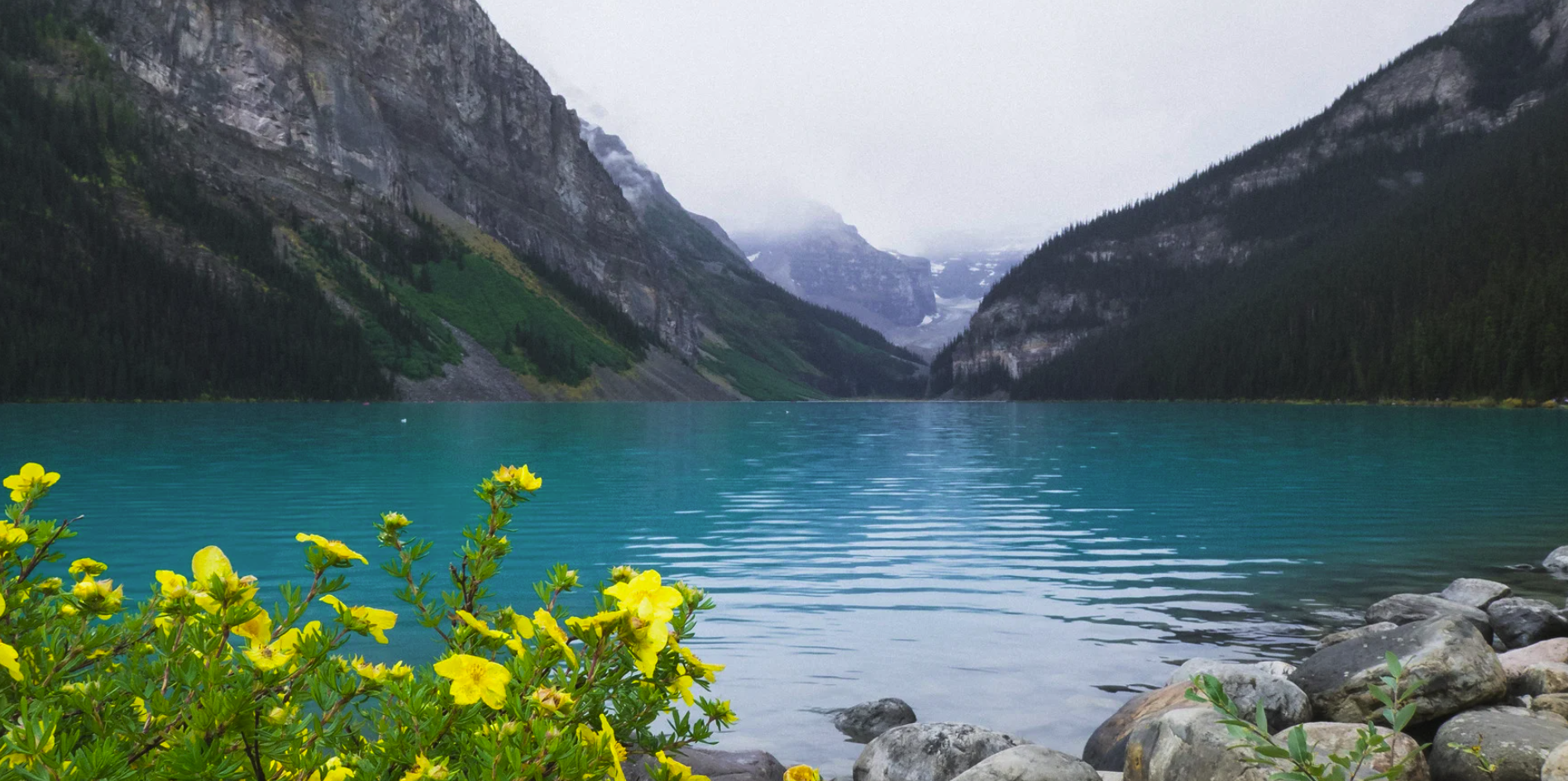 Stars glowing in the night sky over the mountain representing sleep meditation and mindfulness.