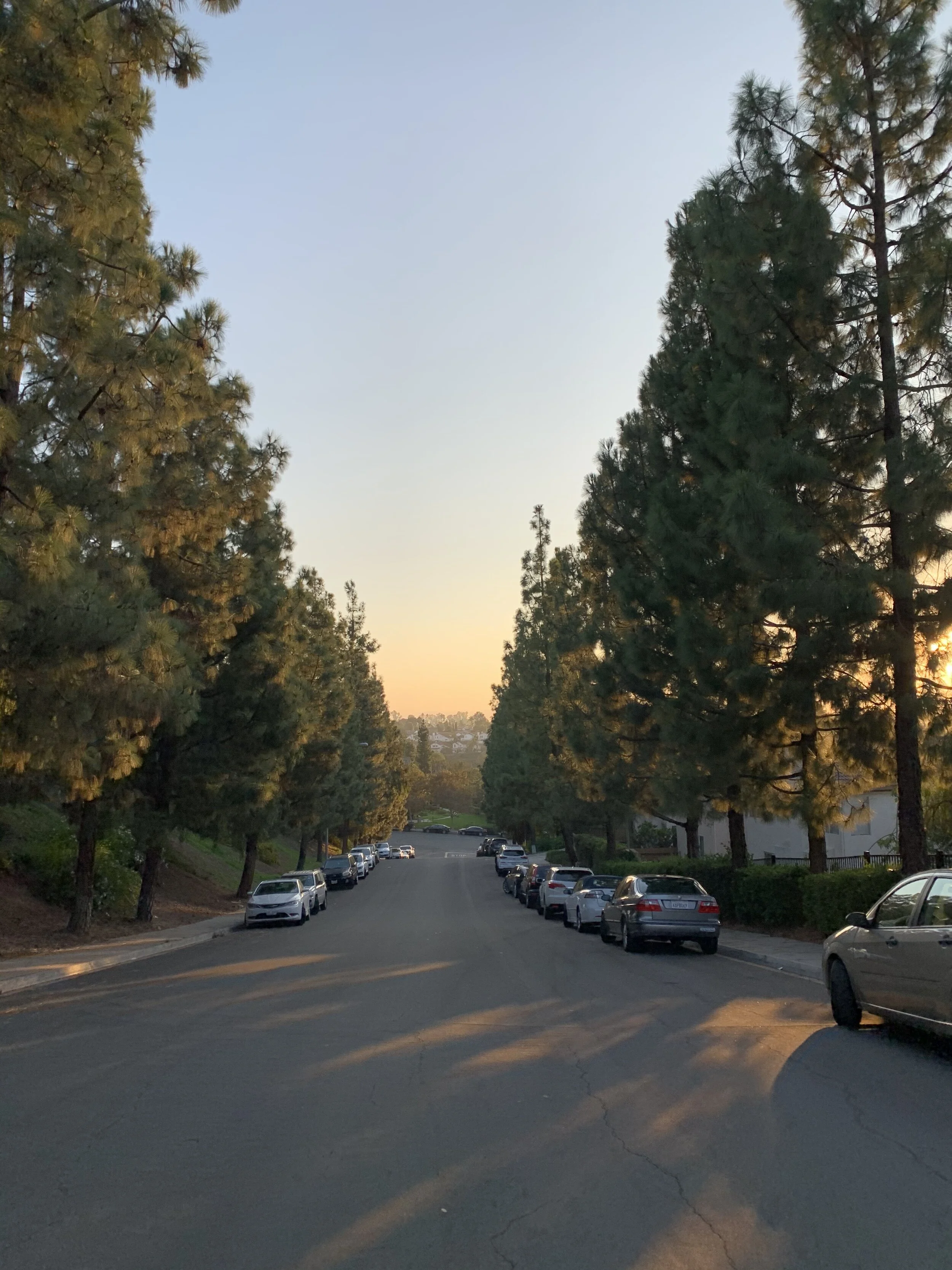 Quitting Your Calling: 3 Reminders for when your Calling Gets Tough