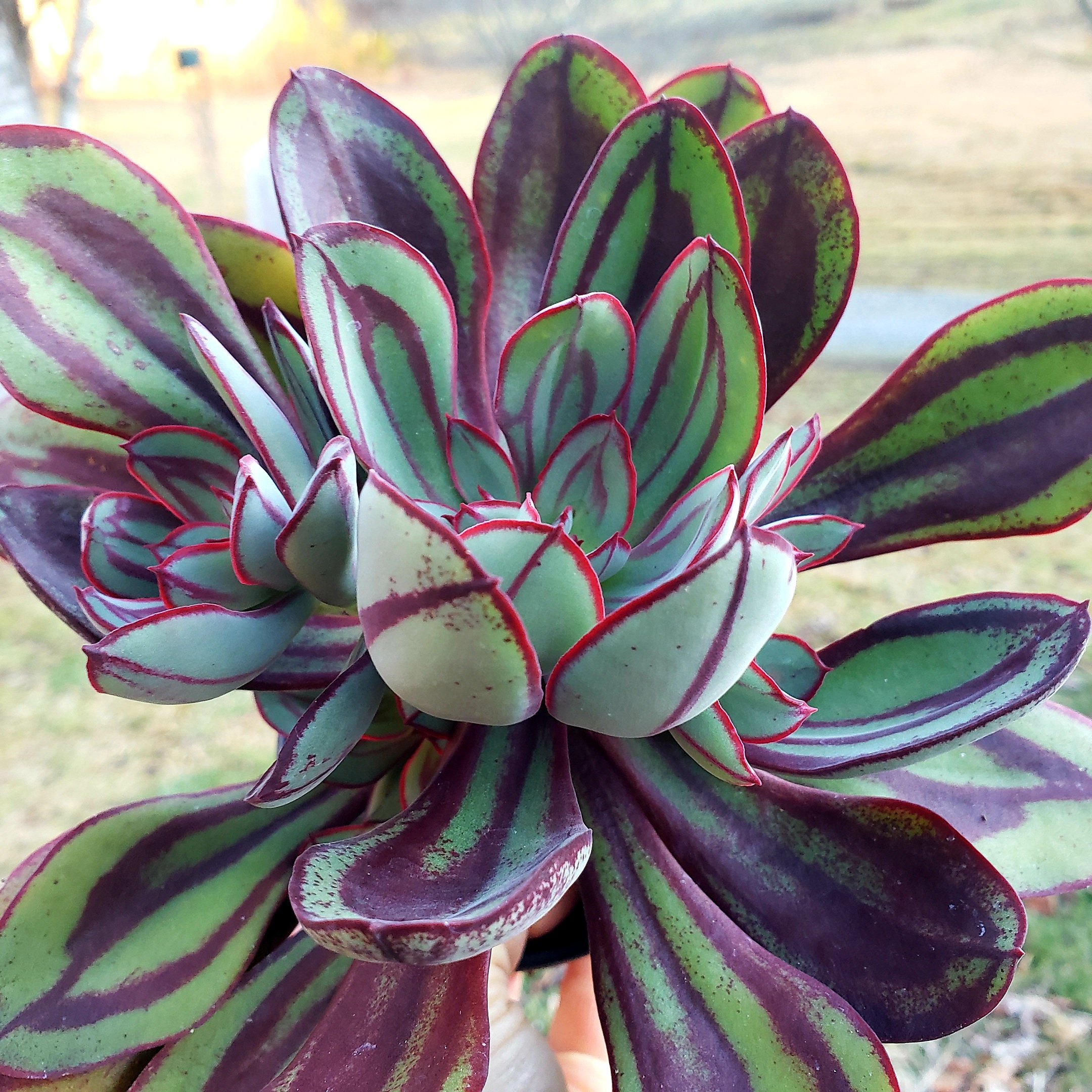 20220122_180110.jpg