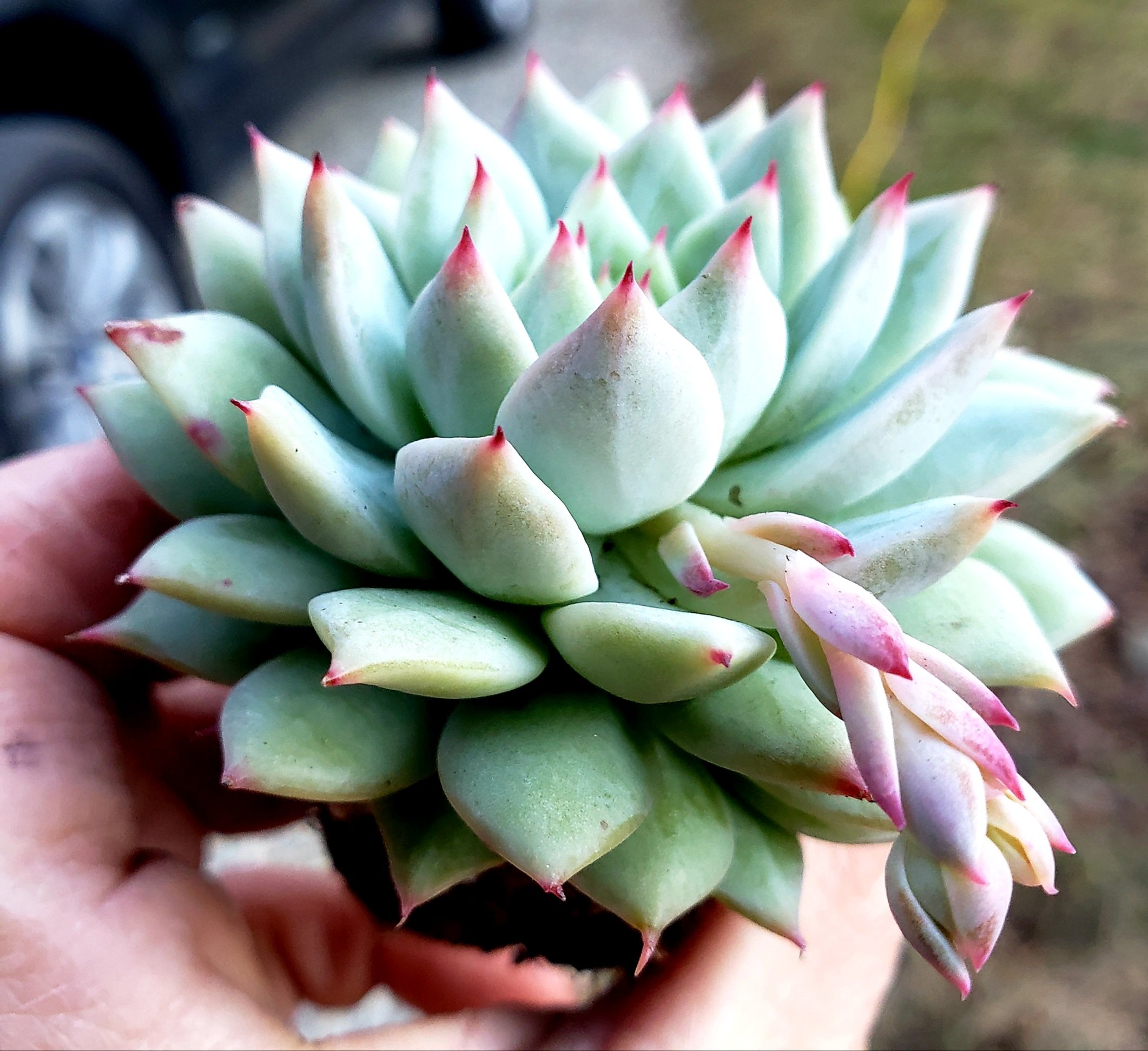 20220122_175813.jpg
